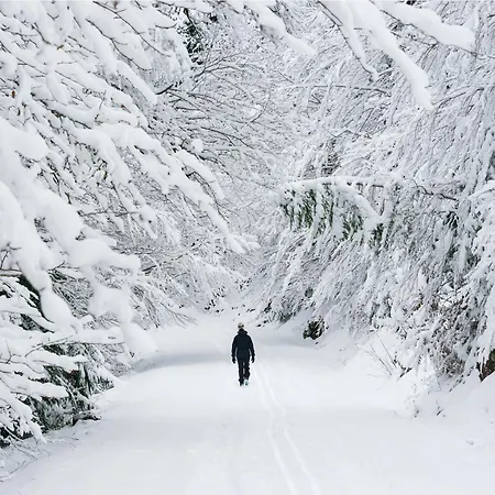 Mirador De Estrimal By Bevalle Panticosa